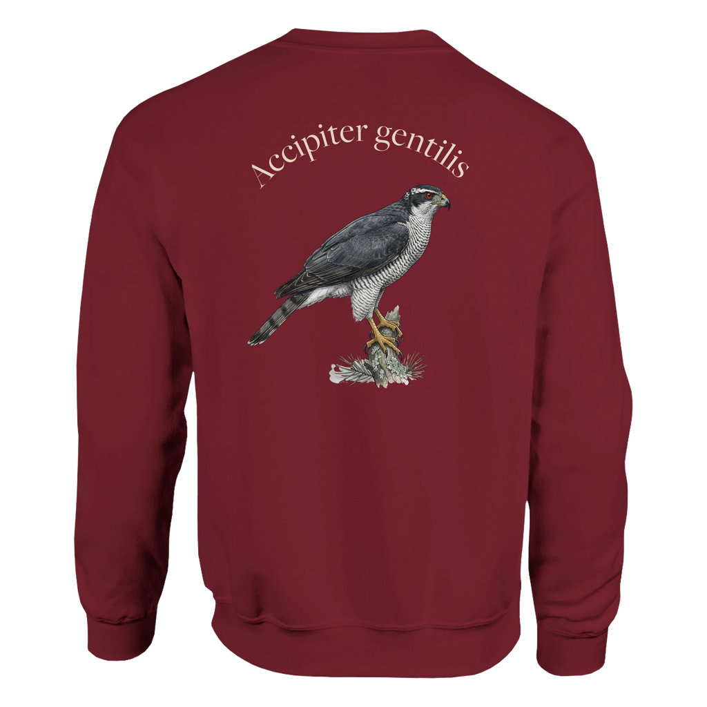 1b5afb0f-0586-436d-8bec-fcb82ffa9d8b