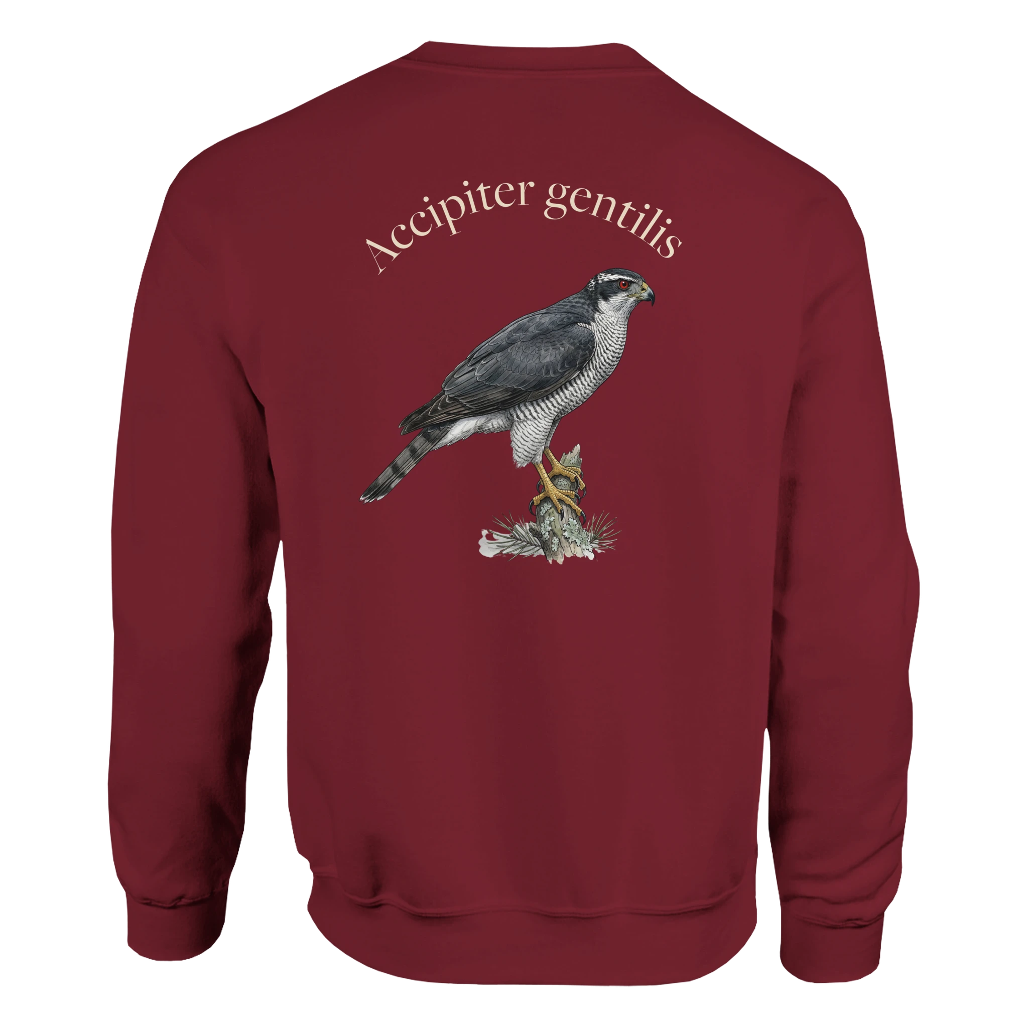 1b5afb0f-0586-436d-8bec-fcb82ffa9d8b