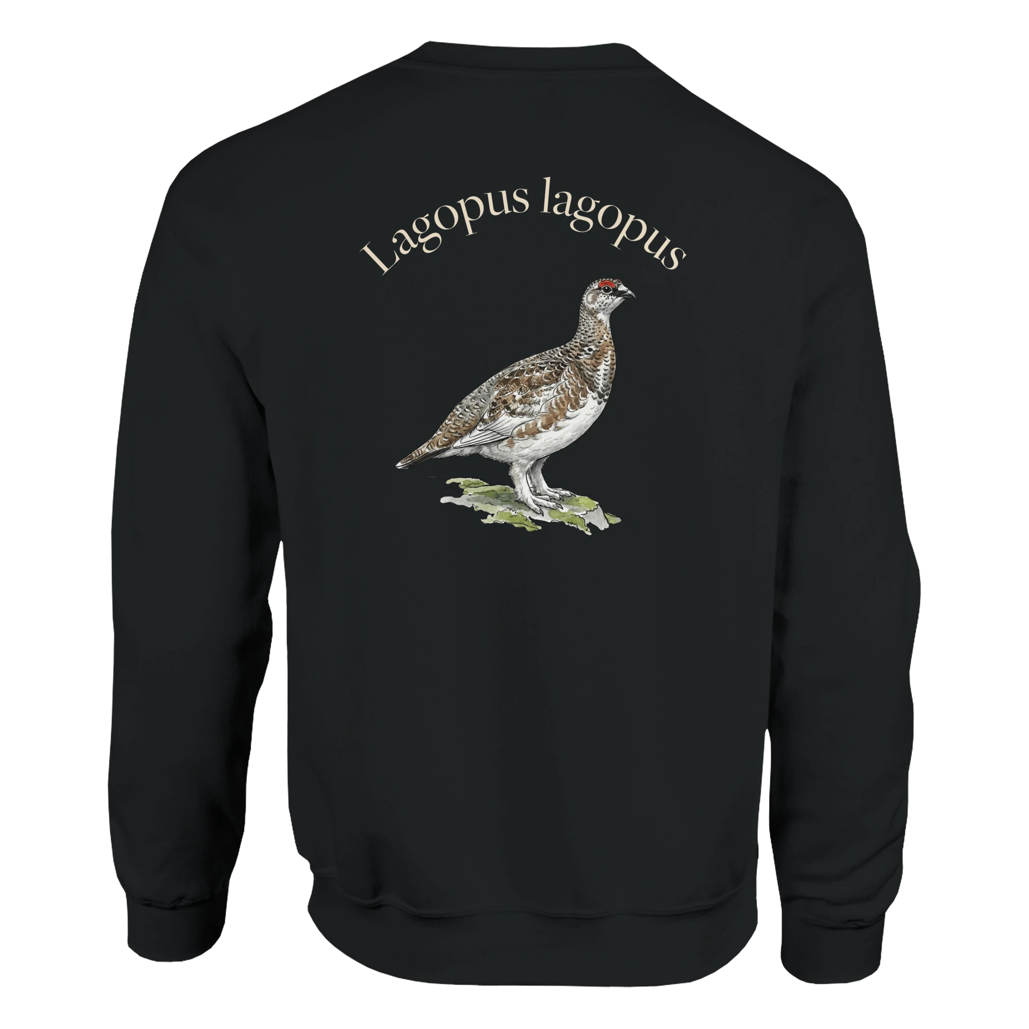 47fbe284-dd45-463a-b9aa-f6865b3897e8