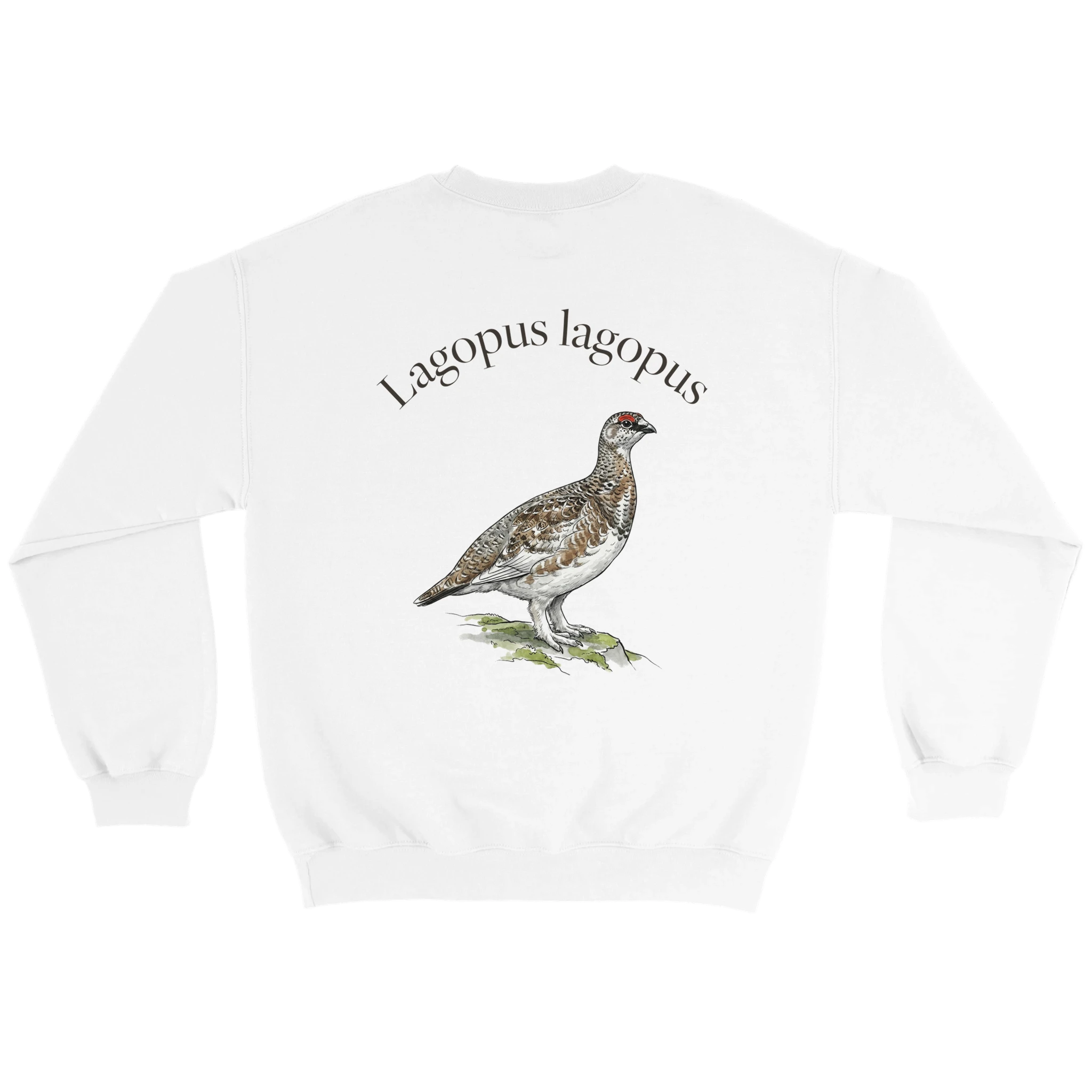 80cf467e-8615-4828-98cb-031f00f45ea9