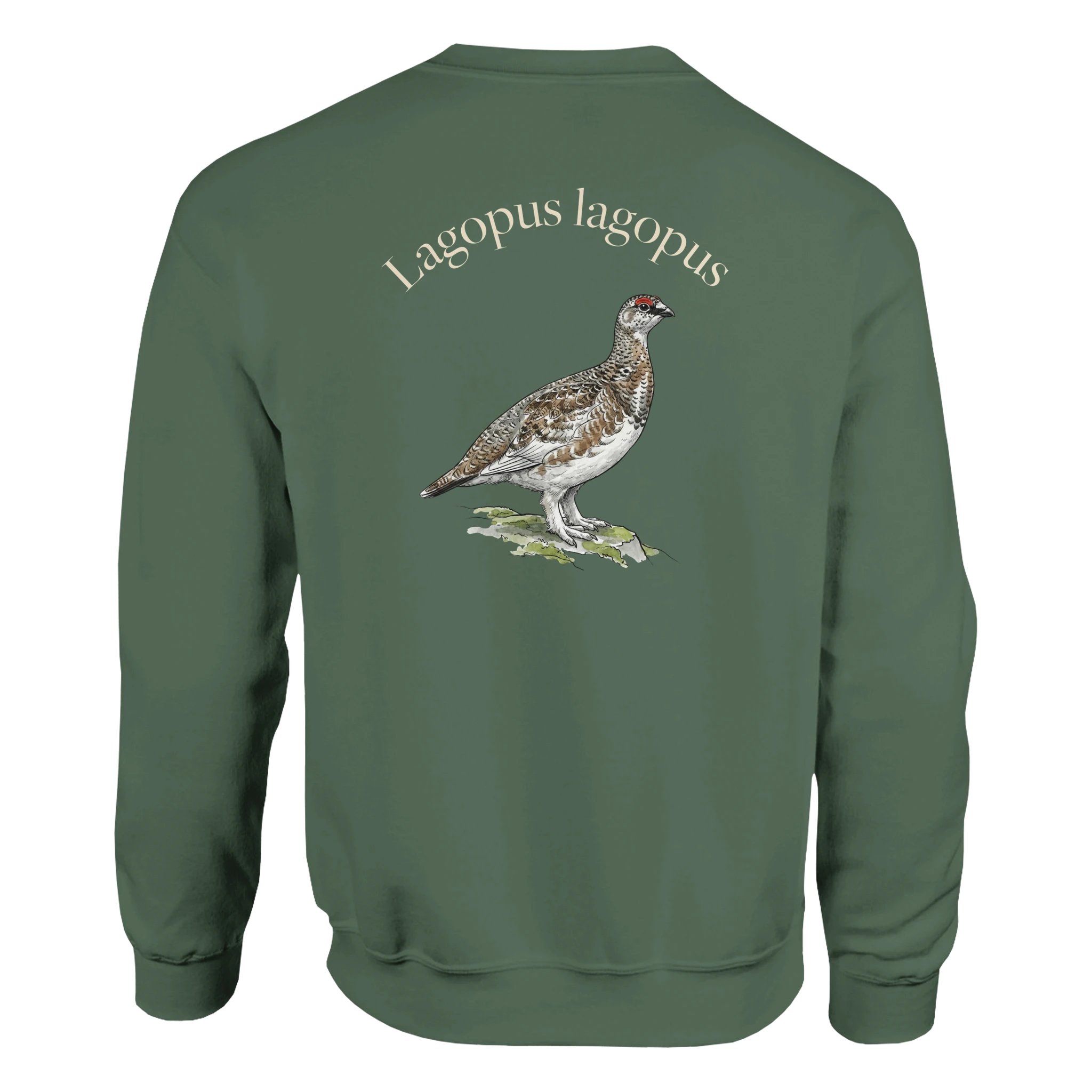 8e3228af-a0b0-4a76-a0f3-b75e98718b5b