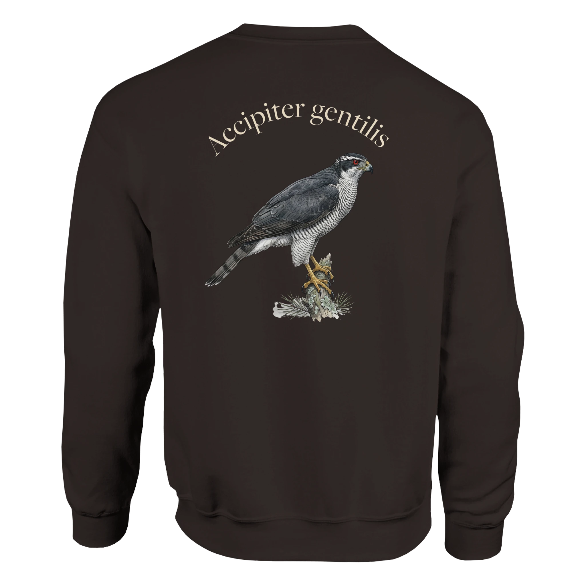 969fc85a-eabb-46de-b99f-6bdd09fe4771