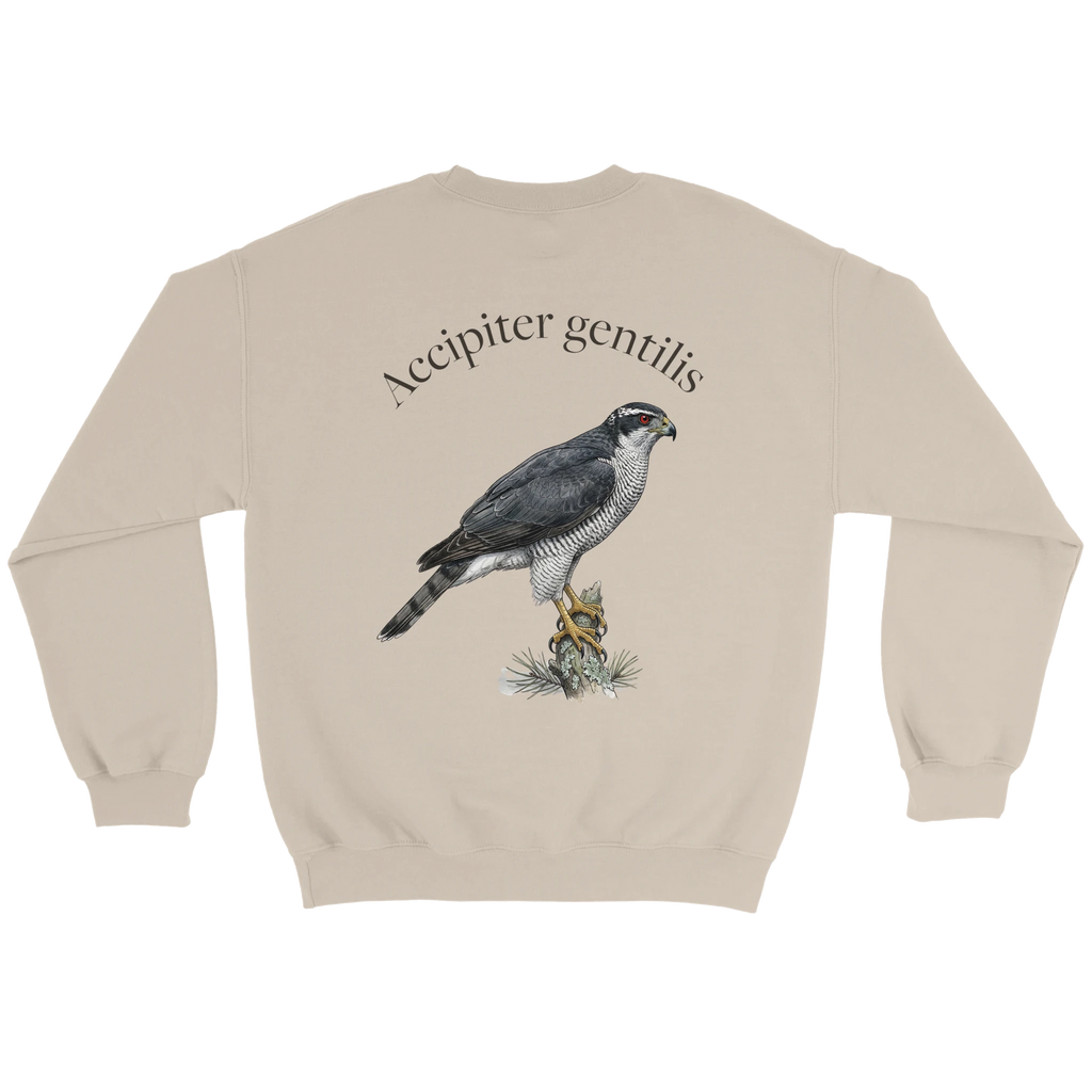 9eb7f893-82e1-437d-b1cc-0467bfb80aff