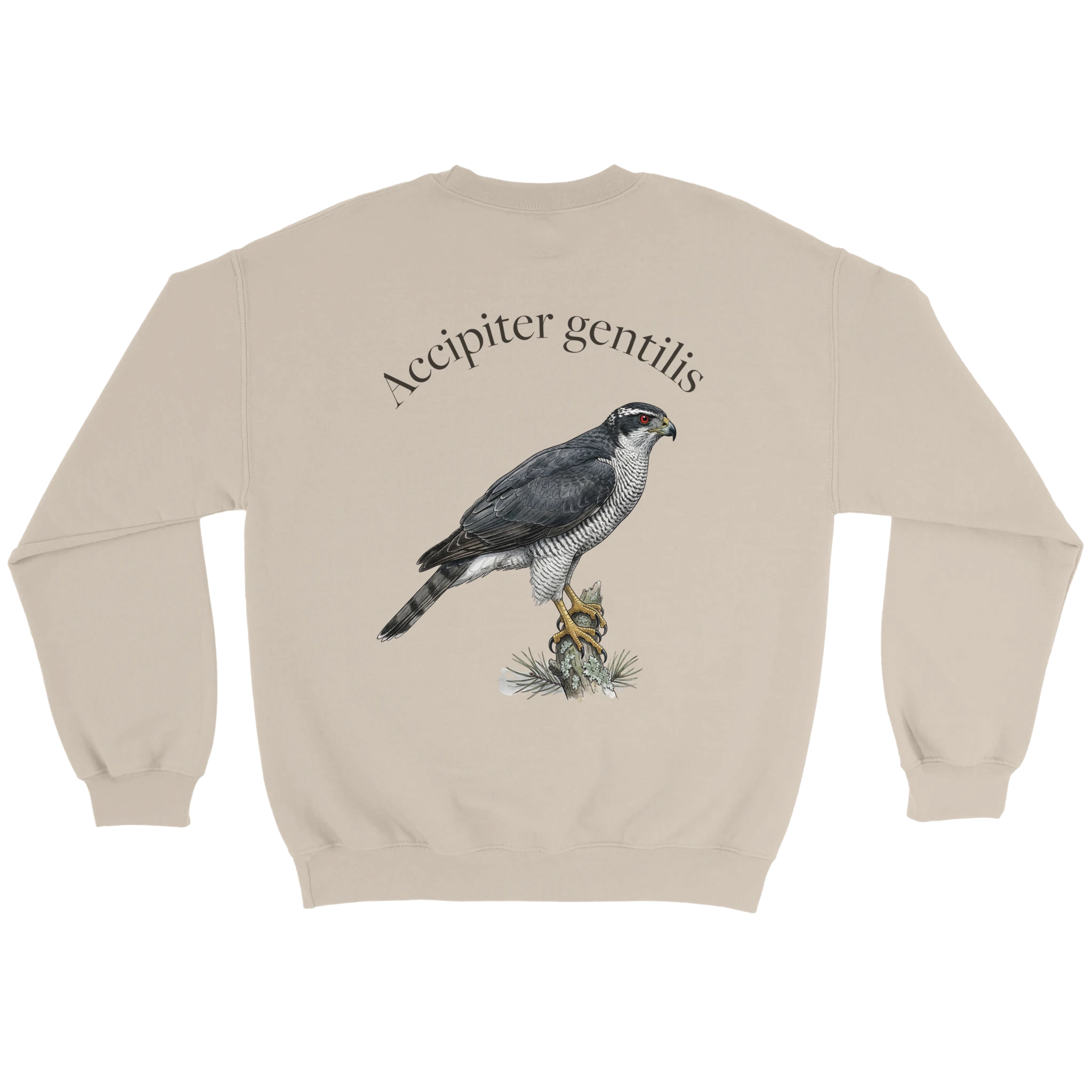 9eb7f893-82e1-437d-b1cc-0467bfb80aff