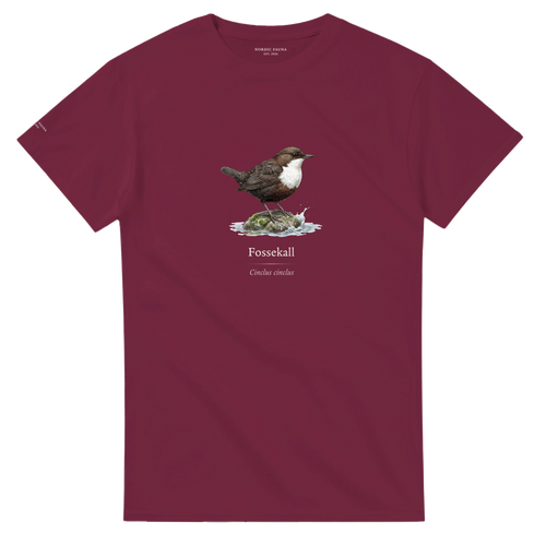 b9b99c55-590c-4307-b18e-f81282da347f