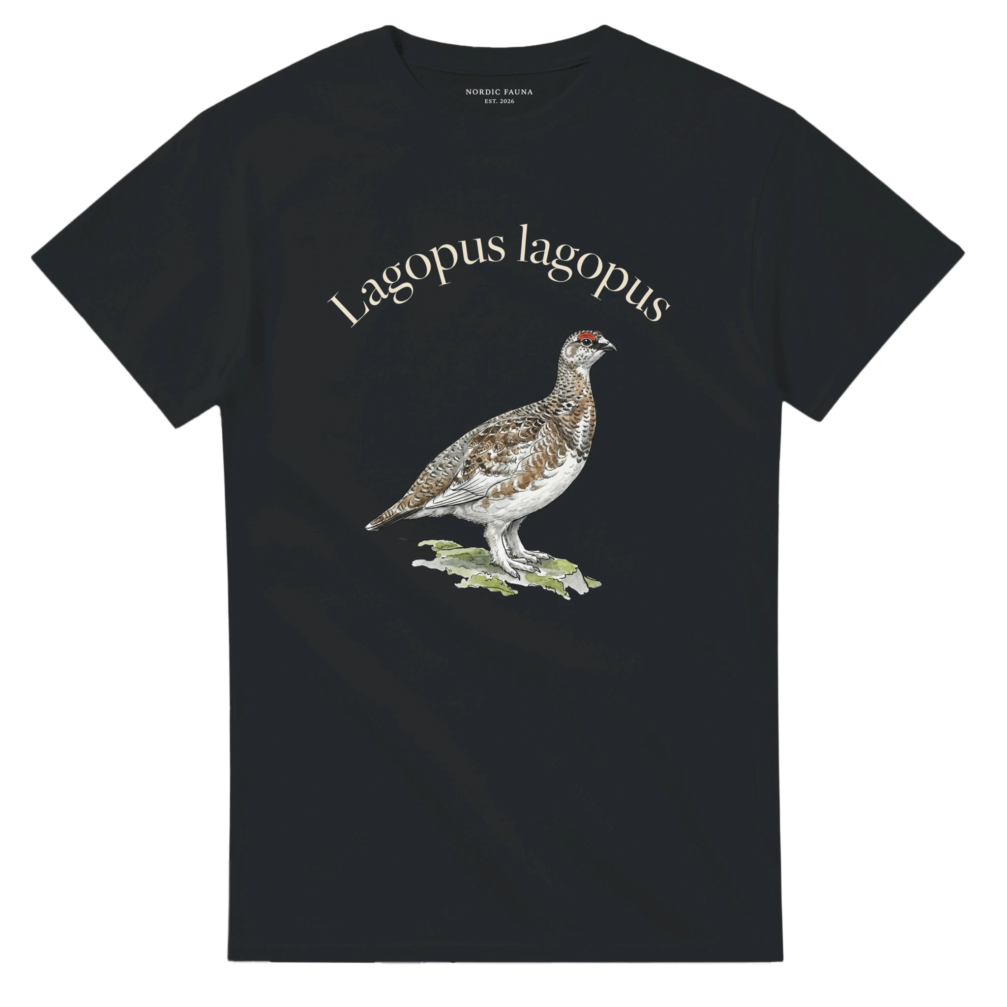 baa02f6d-3fa3-4dd4-b198-41e94e044bc9