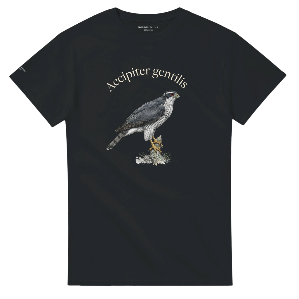 d8668049-d94d-408d-a1e0-70388d4ca921