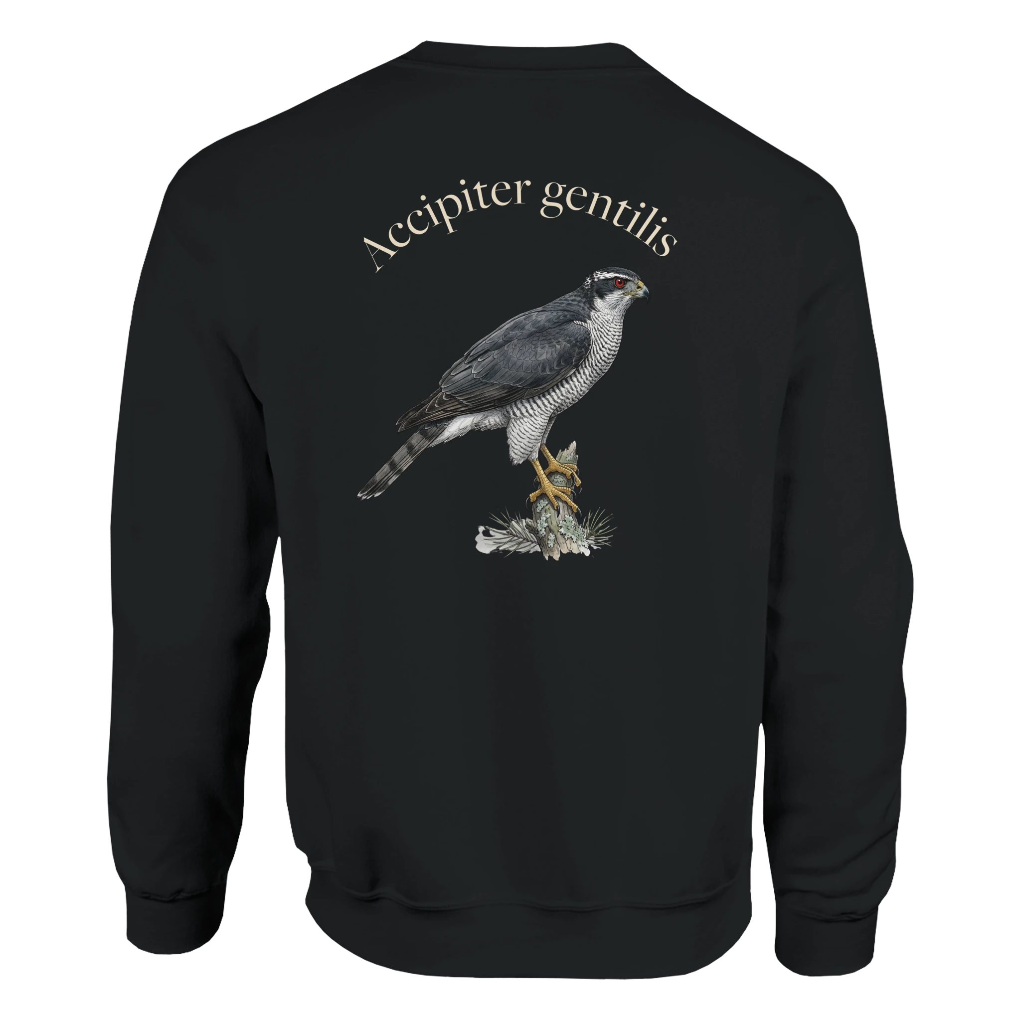 e5f638a4-54bd-4fb2-a32b-ab49604e0c22